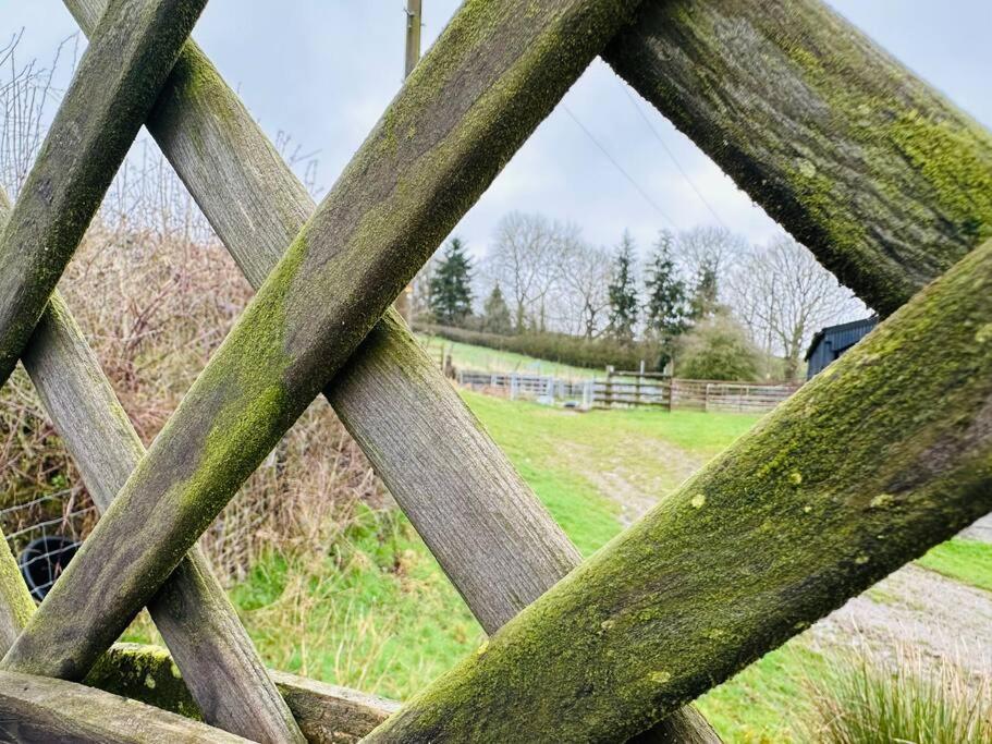 Upper Caerfaelog Farmhouse Llanbister Екстер'єр фото